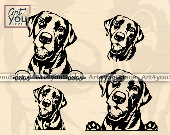 Labrador Retriever svg