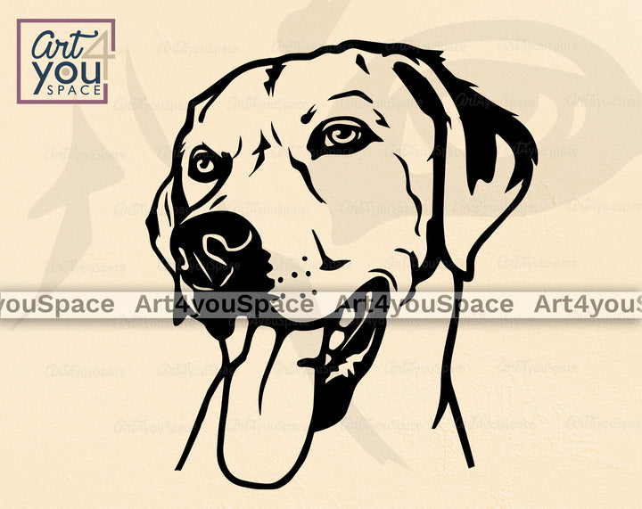 Labrador Clipart
