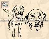 Labrador Retriever  SVG