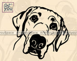 Labrador Retriever Clipart