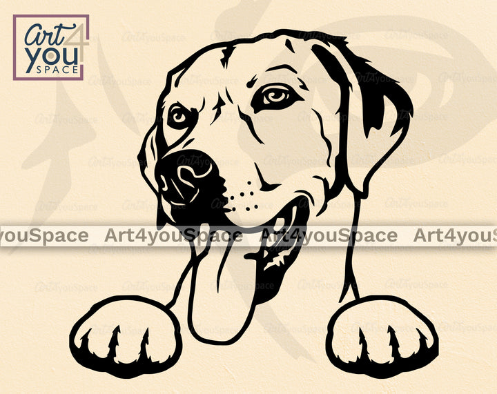 labrador PNG