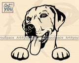 labrador PNG