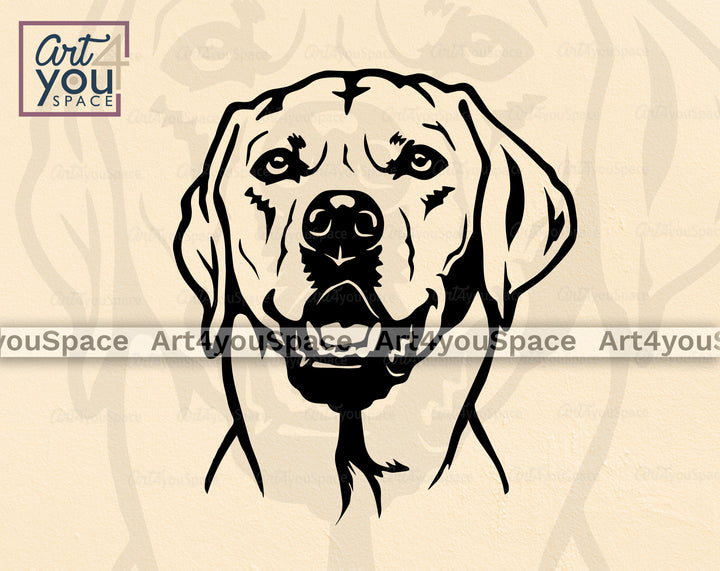 Labrador Vector