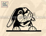 Cute Lop Eared Bunny PNG