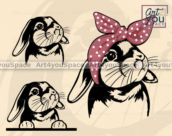 Cute Lop Eared Bunny  SVG