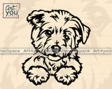 maltese peeking svg