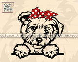 maltese with red bandana svg file for Cricut