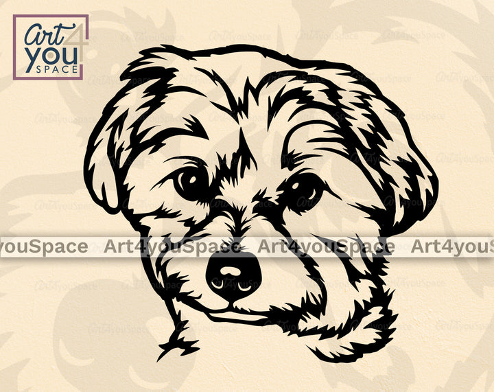Maltese_clipart