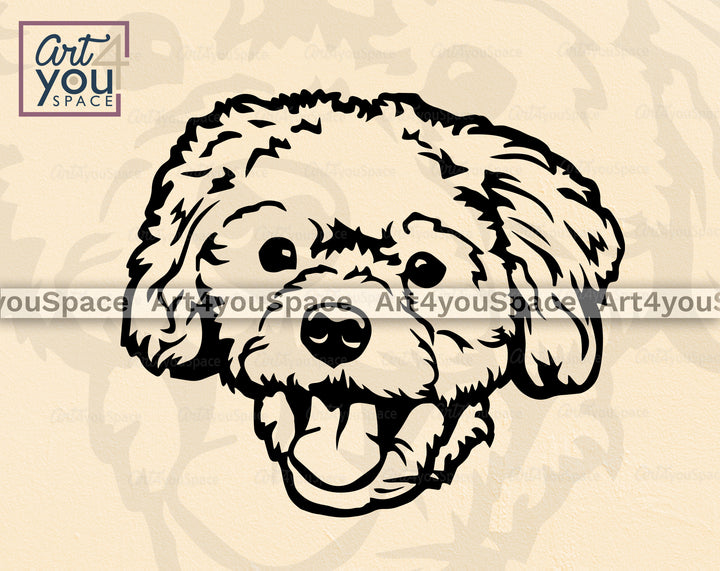 Maltipoo DXF