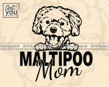 Maltipoo Vector