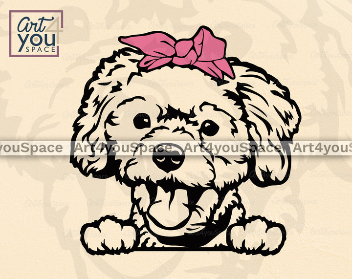 Maltipoo Cricut