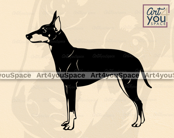 Manchester Terrier PNG