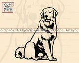 Maremma PNG