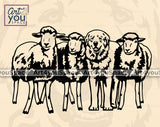 Maremma Clipart