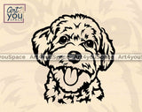 morkie vector
