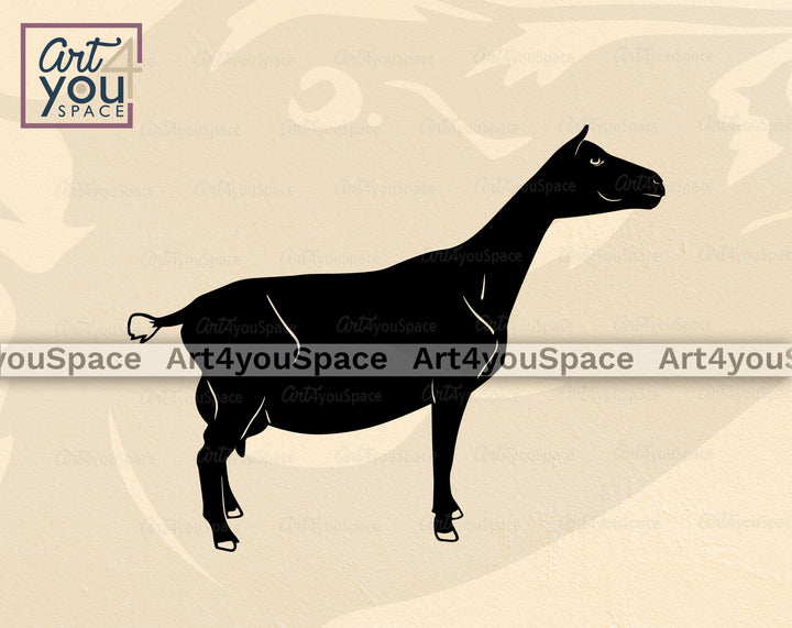 Nigerian_goat_png