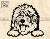 Old English Sheepdog PNG