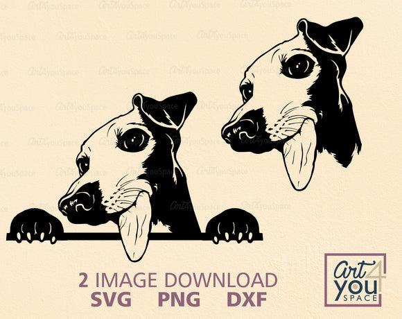 Italian Greyhound SVG