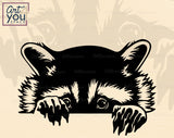 Racoon SVG