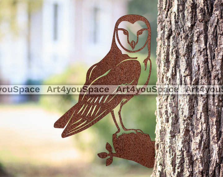 Barn Owl Art