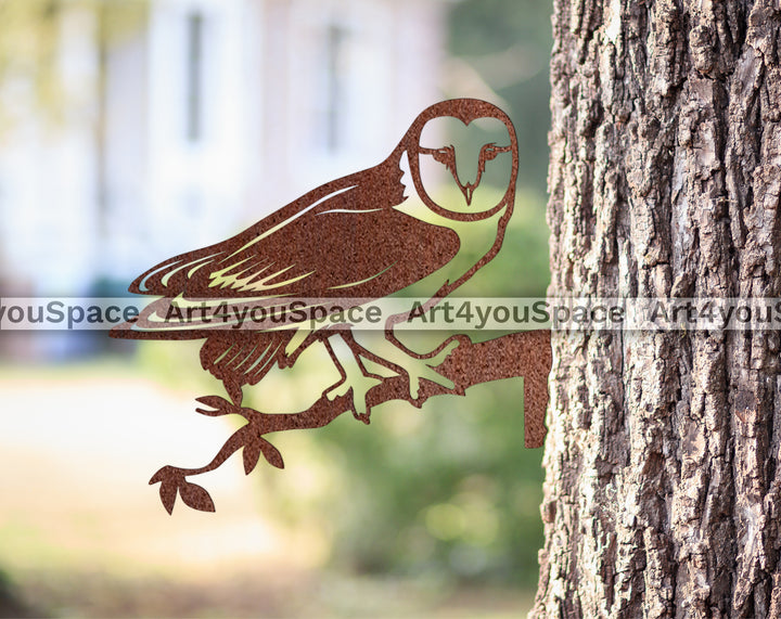Barn Owl PNG