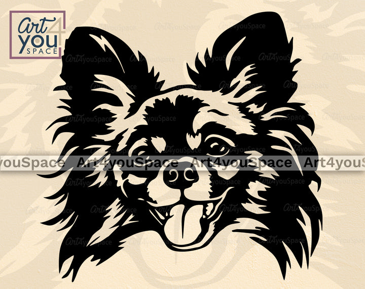 Papillon PNG