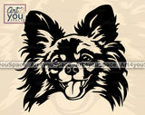 Papillon PNG
