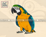 Parrot Clipart