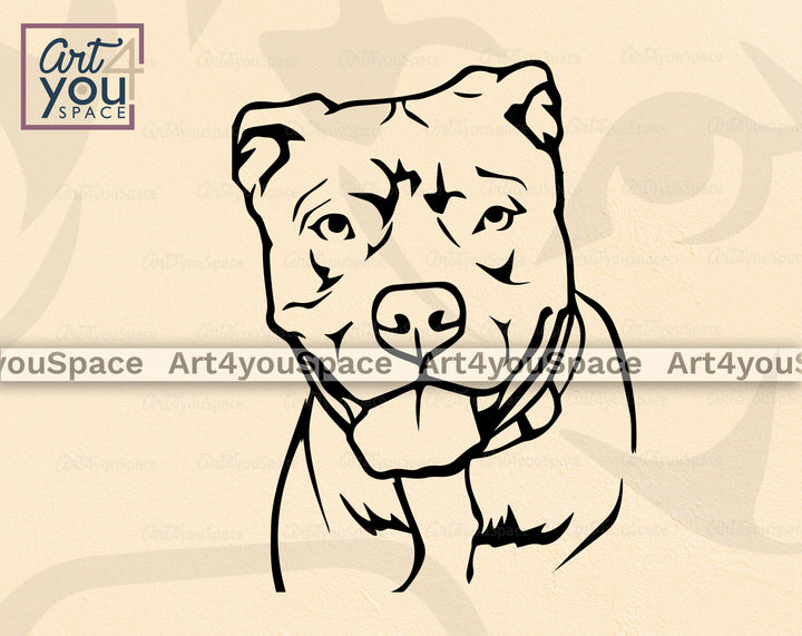 pit bull portrait