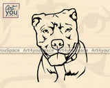 pit bull portrait
