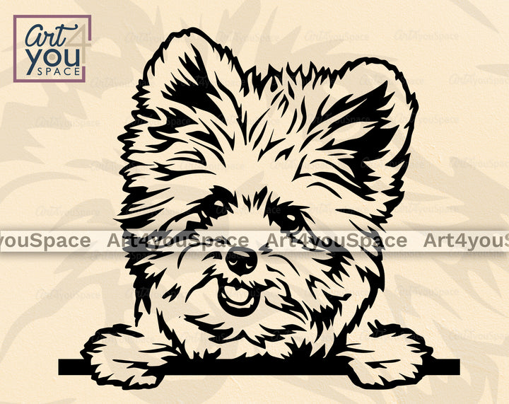 Pomapoo Art