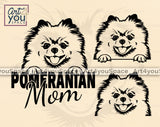 Pomeranian  SVG