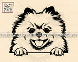 Pomeranian  Art