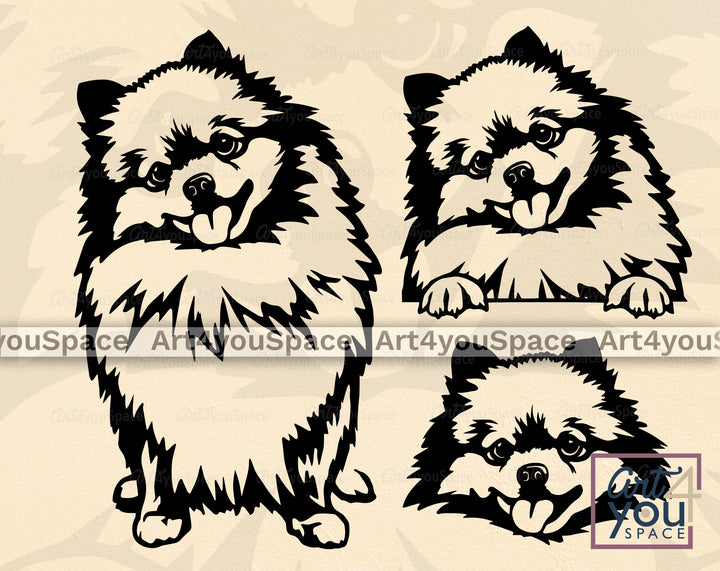 Pomeranian SVG