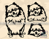 Pomeranian SVG