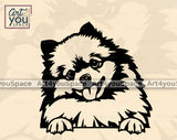 Pomeranian Vector