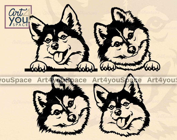 Pomsky Dog Svg Files For Cricut