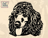 Poodle Clipart