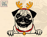 Funny Christmas Pug Svg