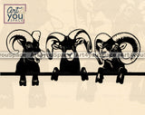 Ram Vector