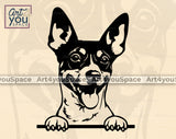 Rat Terrier PNG