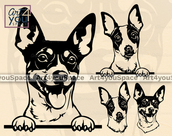 Rat Terrier SVG