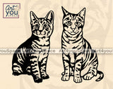 two tabby cats in sitting poses svg files