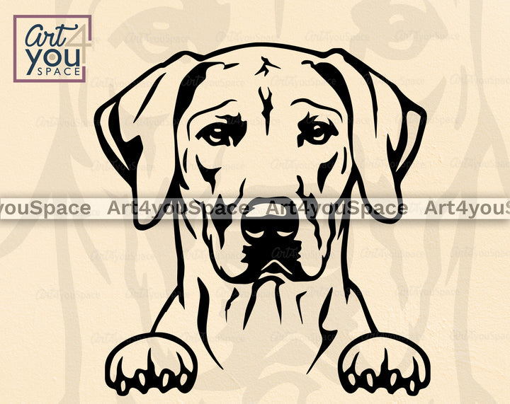 RhodesianRidgeback PNG