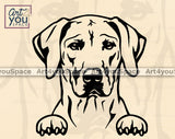 RhodesianRidgeback PNG