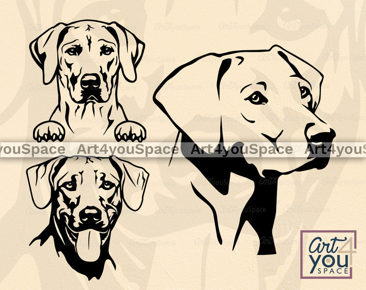 Rhodesian Ridgeback SVG