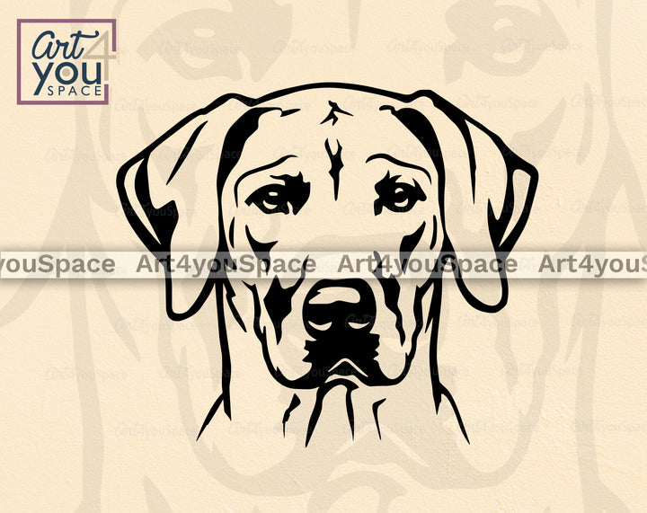 Rhodesian Ridgeback Vector