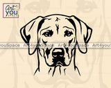 Rhodesian Ridgeback Vector