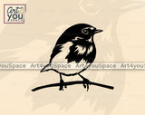Robin Vector