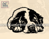 Saint Bernard Art